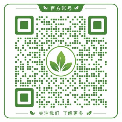 麻豆视频